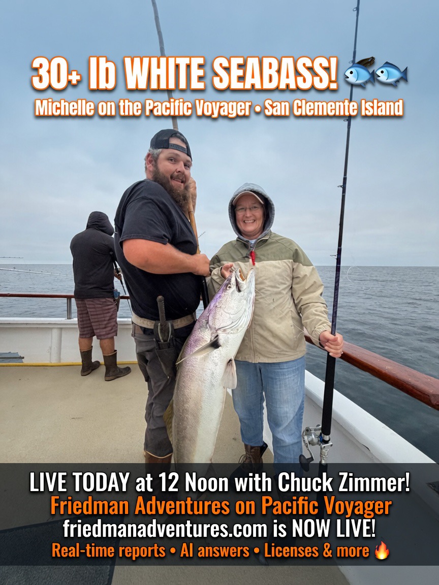 Chuck Zimmer’s sister Michelle just put this beautiful 30+ pound white seabass in the boat this morning at San Clemente Island