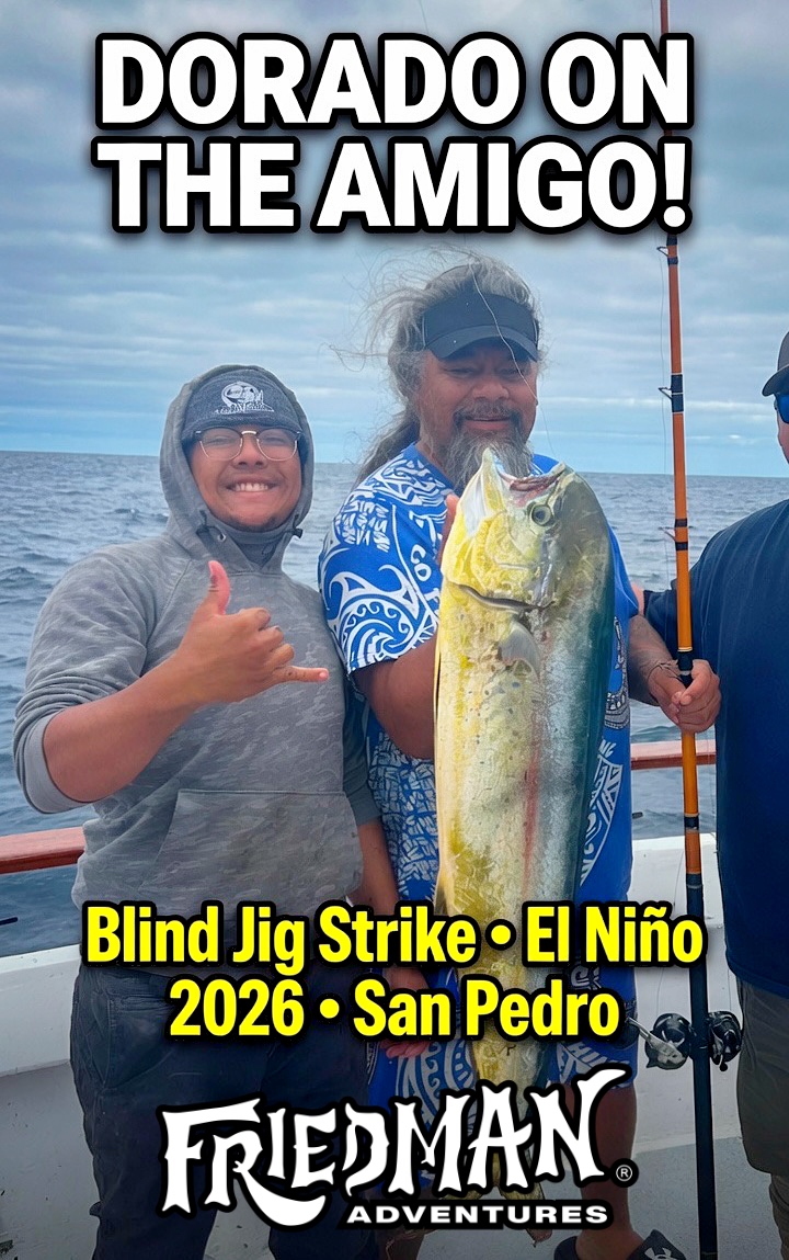 Amigo Boat Dorado on Blind Jig – El Niño 2026 Bite Starting? 🎣🔥
