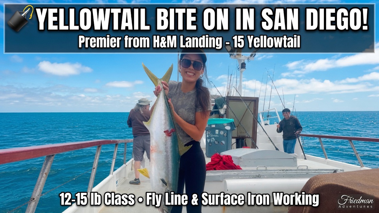 🎣 Yellowtail Bite ON in San Diego! Premier Loads 15 + Happy Angler on H&M Landing