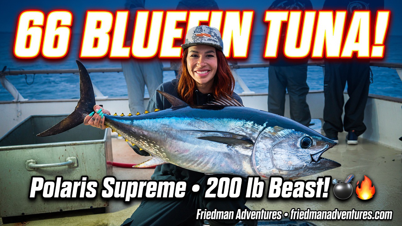 🎣 Big Bluefin News from San Diego!