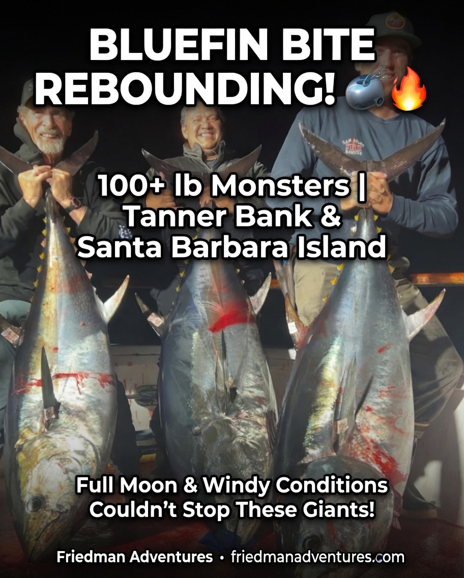 Bluefin Bite Rebounding in Southern California β 100+ lb Monsters Signal Big Things Ahead! π£π₯