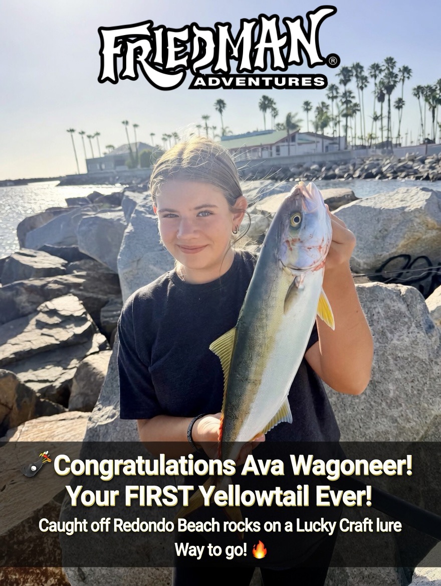 Ava Wagoneer Lands Her First Yellowtail Ever Off Redondo Beach Rocks! 🎣🔥