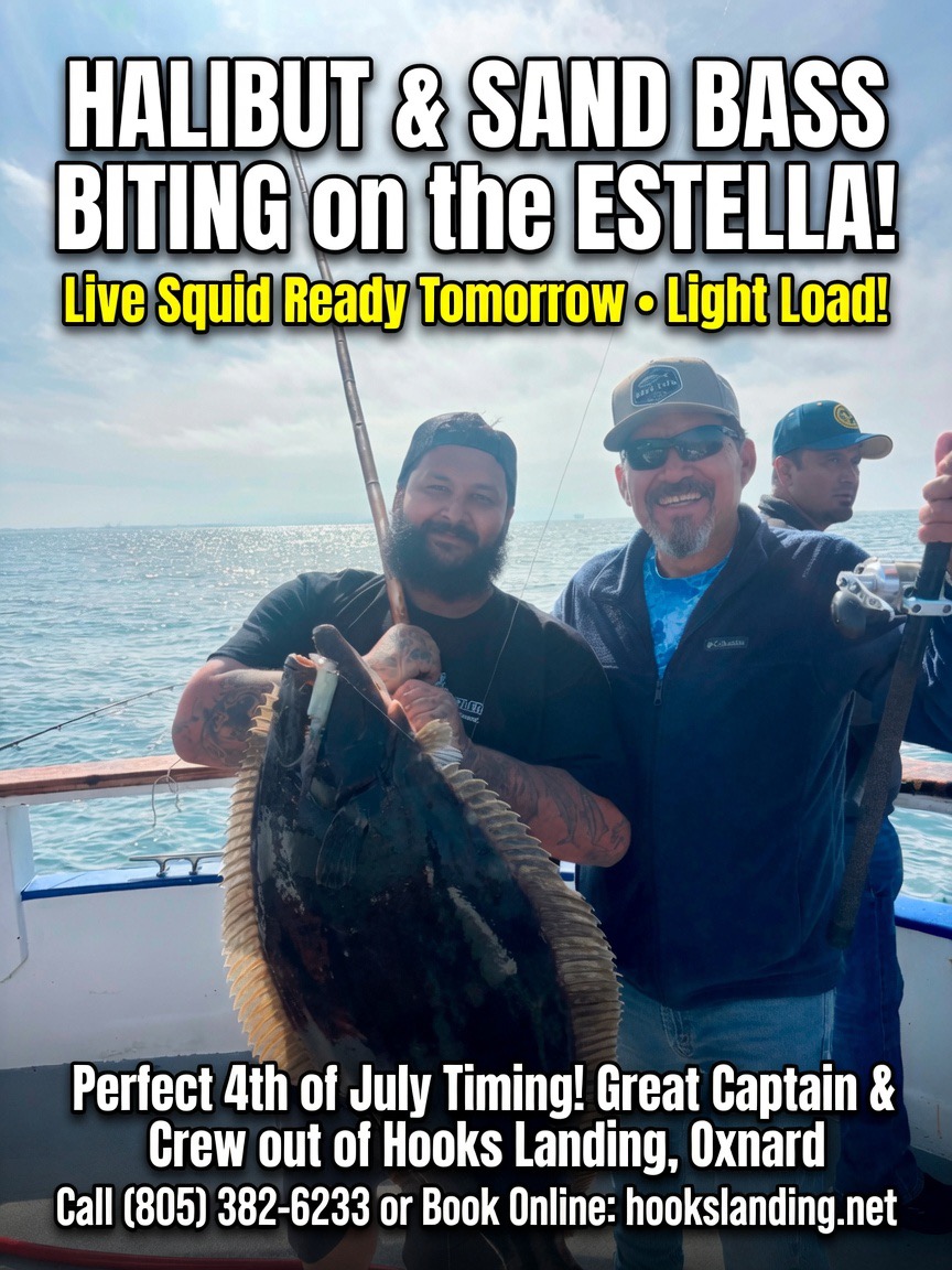 Halibut & Big Sand Bass Biting on the Estella! Perfect 4th of July Timing + Live Squid Tomorrow 🎣
