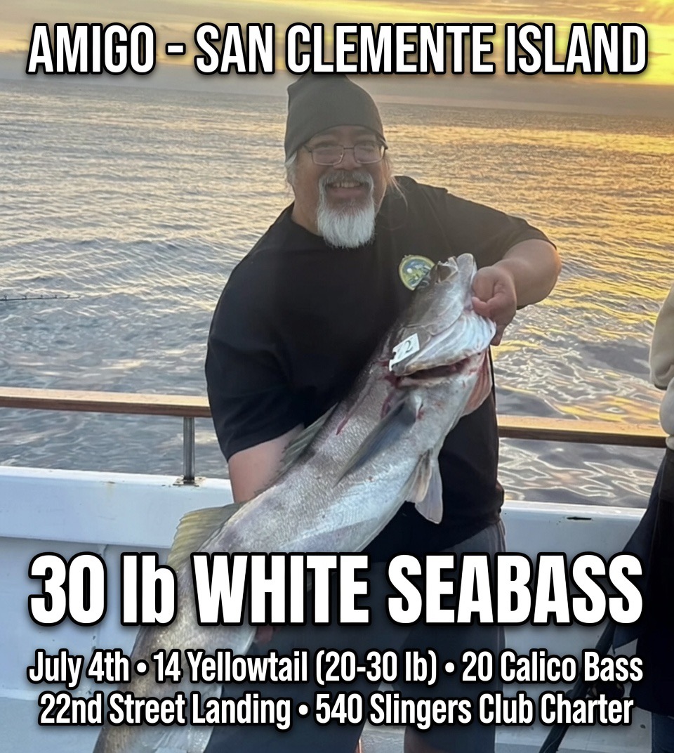 Amigo Delivers Monster Catches at San Clemente Island – 30 lb White Seabass & Big Yellowtail!