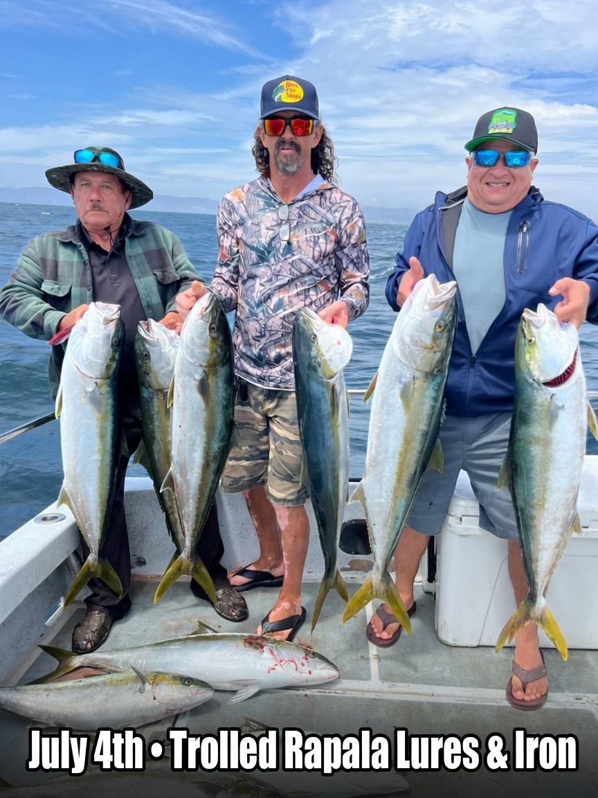 Little Horse: 22 Big Yellowtail in Ensenada Today! π£π₯