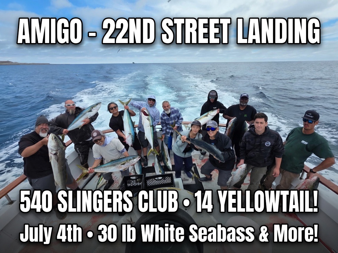 Cover photo for β540 Slingers Club on the Amigo β Yellowtail & 30 lb White Seabass! π£β