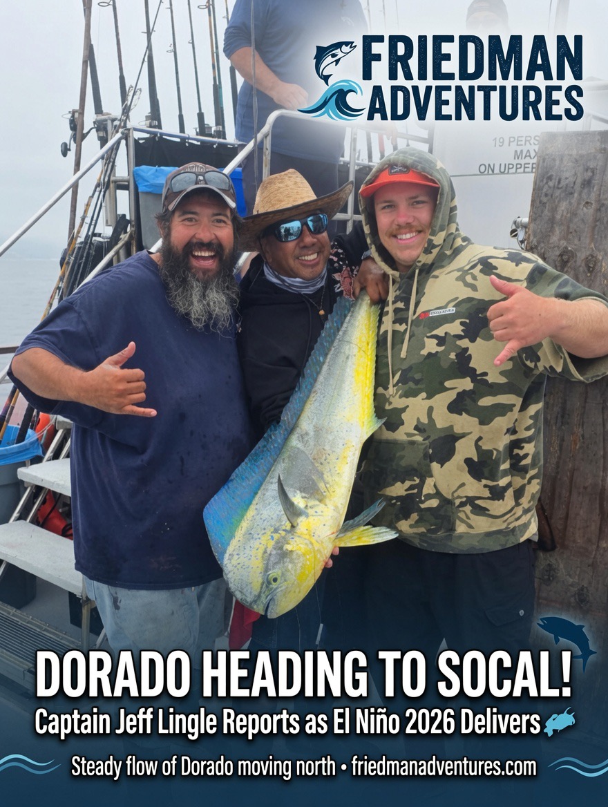 Dorado on the March Toward Southern California! Captain Jeff Lingle Reports Consistent Catches Below Ensenada as El Niño 2026 Keeps Delivering 🎣
