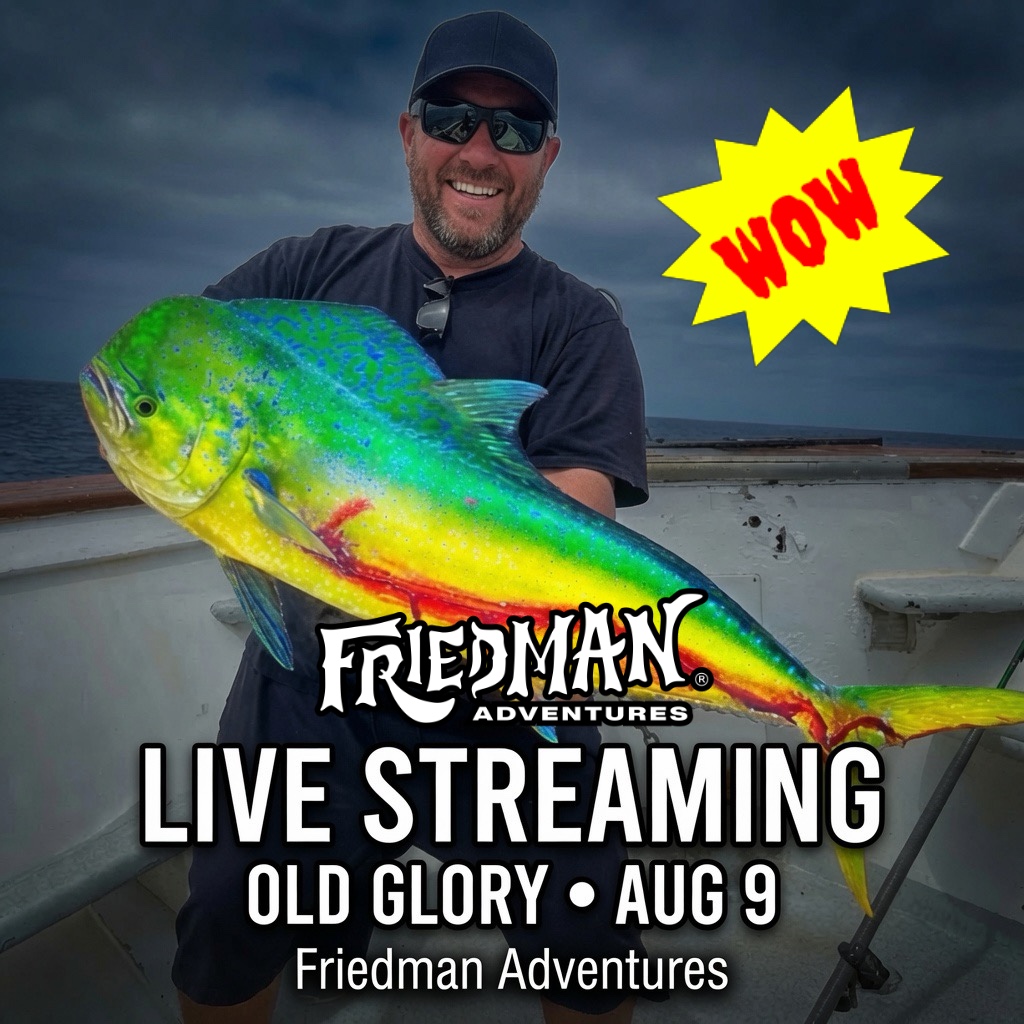 🔥 LIVE from Old Glory! Dorado, Yellowfin & Tuna Action | Friedman Adventures Overnight Aug 9