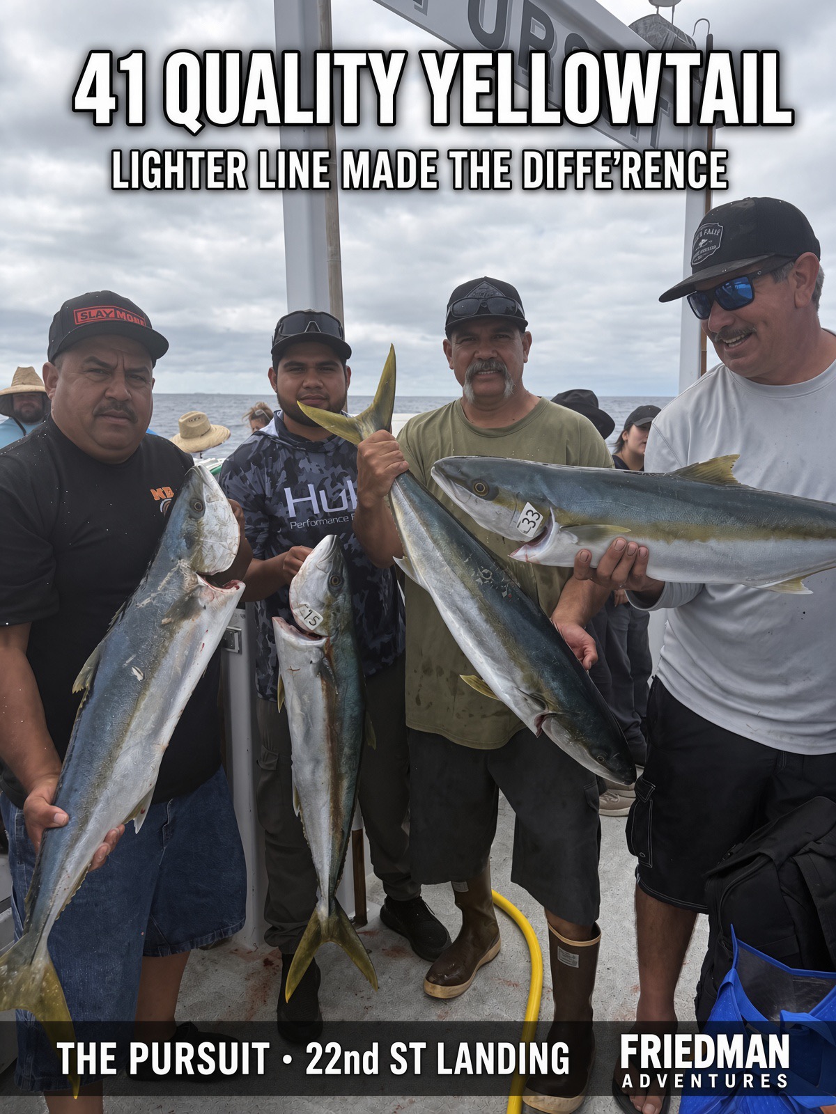 41 Quality Yellowtail on the Pursuit – This Line Tip Made All the Difference at Horseshoe Kelp