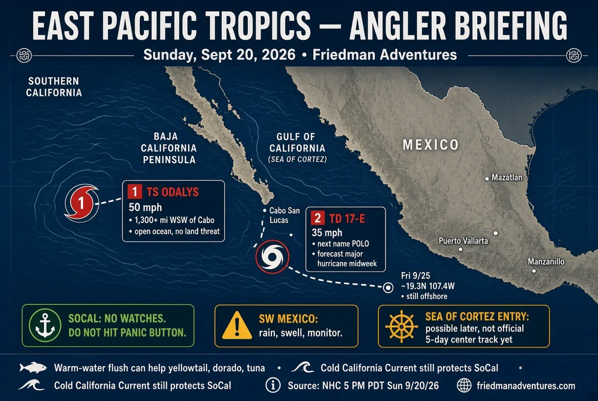 Don’t Hit the Panic Button: East Pacific Tropics, Warm Water, and Why SoCal Fishing Stays Spectacular