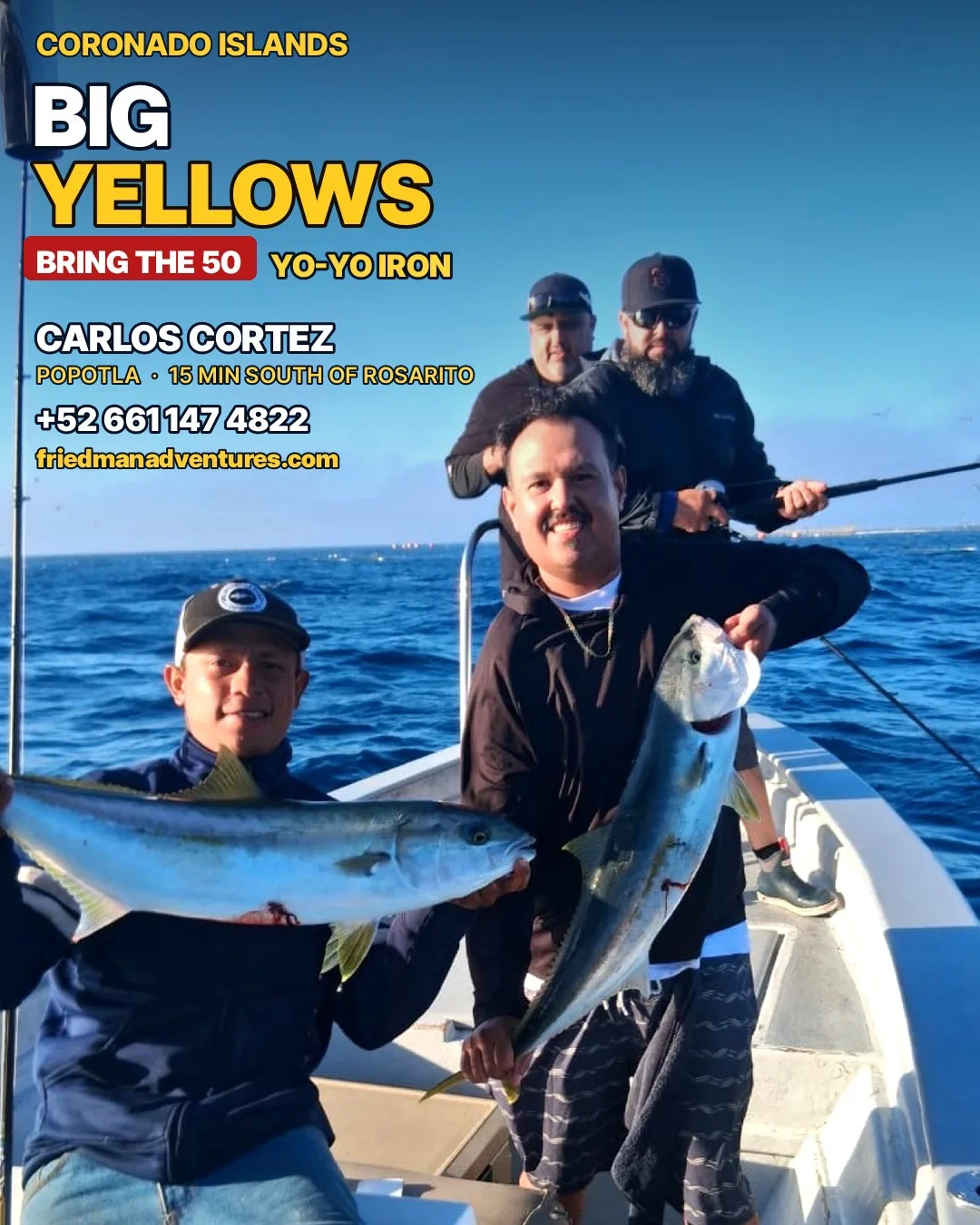 Big Yellowtail Hammering Yo-Yo Iron | Carlos Cortez Coronado Islands π£π₯